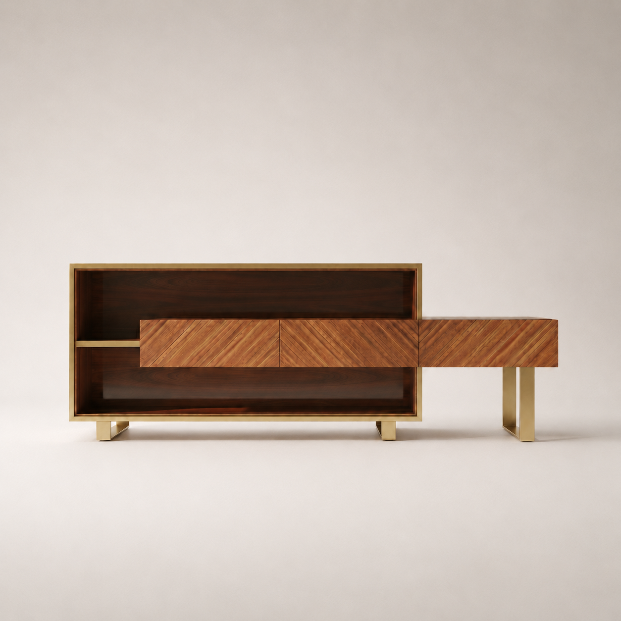 RION TV Unit