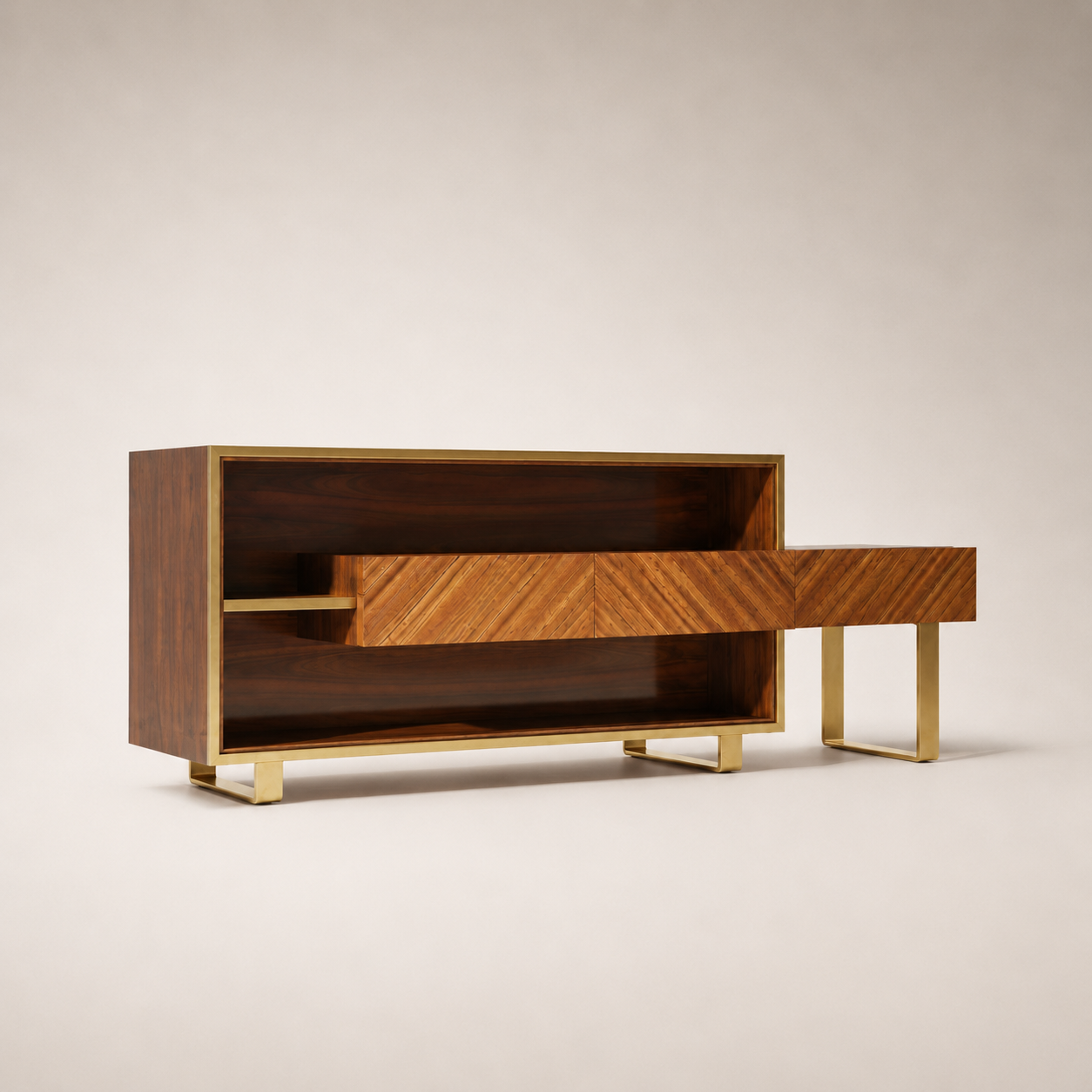 RION TV Unit
